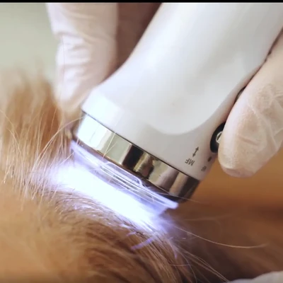 Консультация трихолога (волосы и кожа головы)